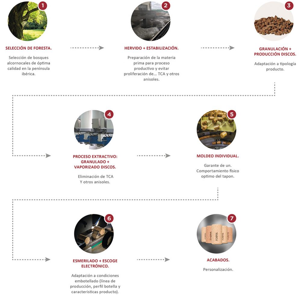 fortis-infografia-es