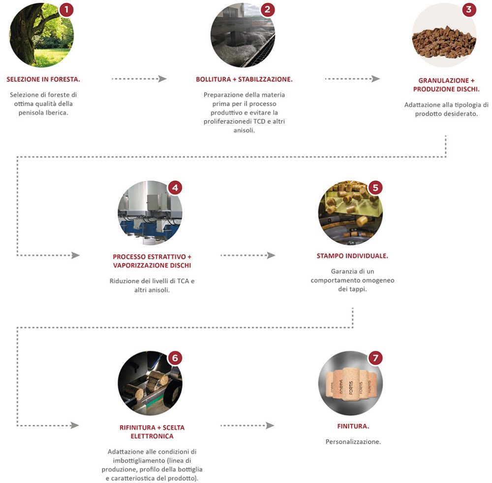 fortis-infografia-it